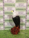 Ястреб на перчатке