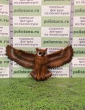 Сова навесная