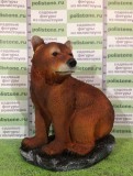 Медведь большой 