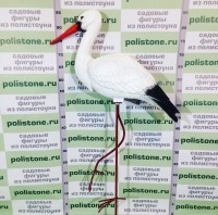 Аист средний
