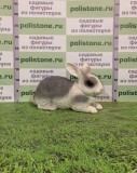 Кролик