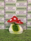 Мухомор двойной