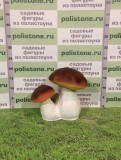 Боровик двойной 
