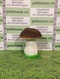 Боровик малый