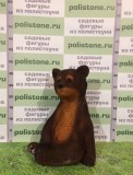 Медведь малый