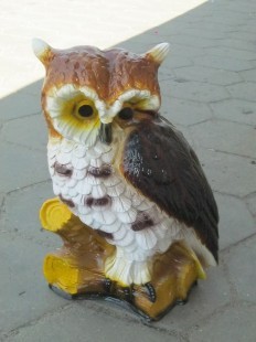 сова