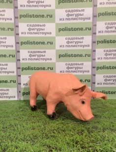 Поросёнок стоя