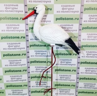 Аист средний