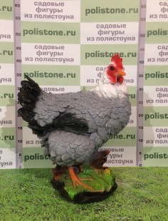 Курица