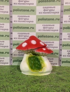 Мухомор двойной