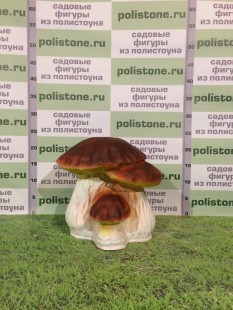 Боровик тройной