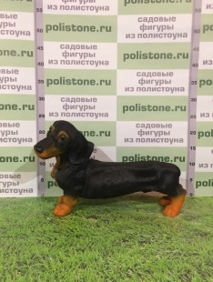 Такса